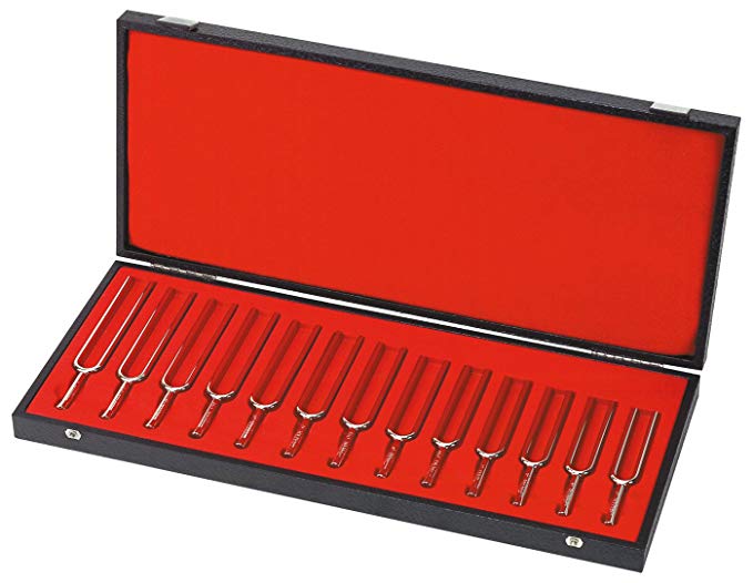 Chromatic Tuning Fork Set in Deluxe Case