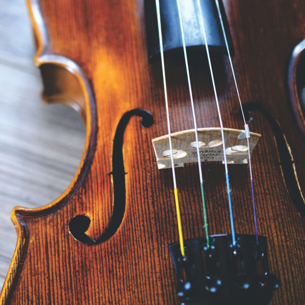 Orchestral String Instruments & Accessories - Counterpoint Music