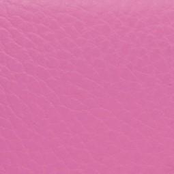 L'Etoile Cabine Alto Saxophone Case