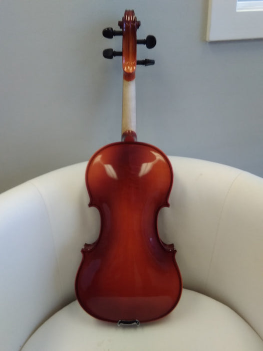 Rhapsody 4/4 Violin Outfit - Imperfect