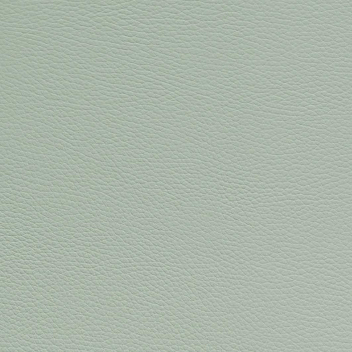 L'Etoile Cabine Alto Saxophone Case