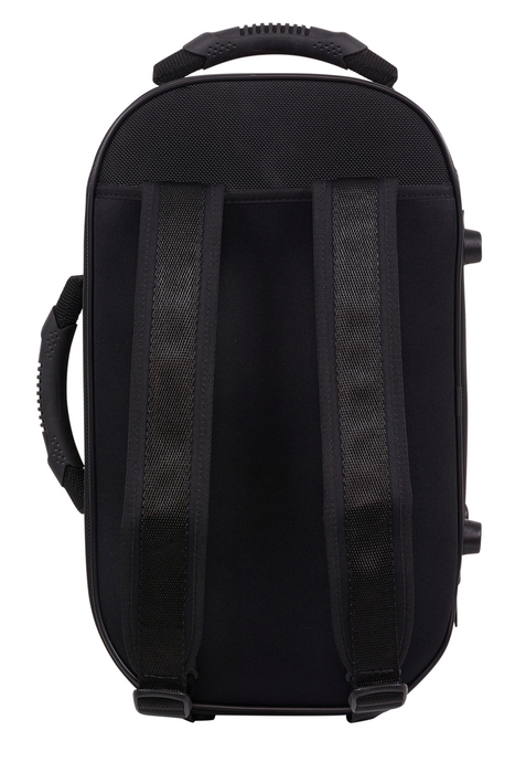 Saint Germain Cornet Case