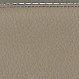 L'Etoile Cabine Alto Saxophone Case