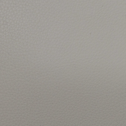 L'Etoile Cabine Alto Saxophone Case