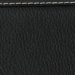 L'Etoile Hightech 2 German Double Bass Bows Case