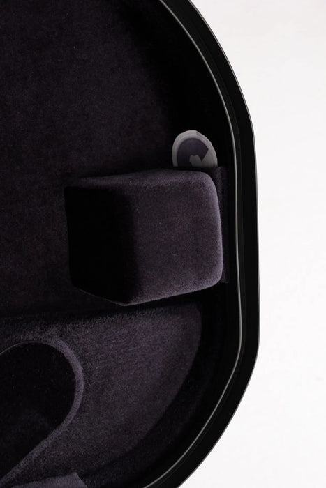 ICONIC by David Garrett Hightech Cabin Violin Case