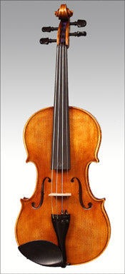 Harald Lorenz HL4 Intermediate Violin Outfit