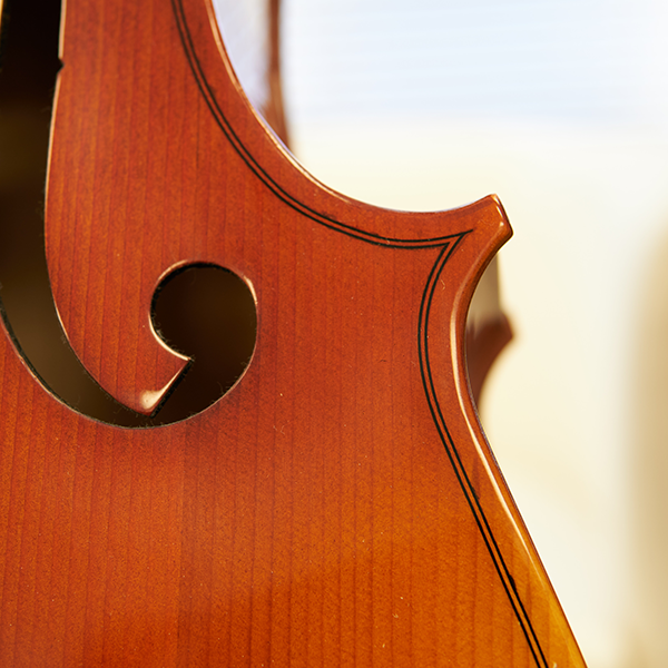 Rhapsody Laminate Cello Outfit