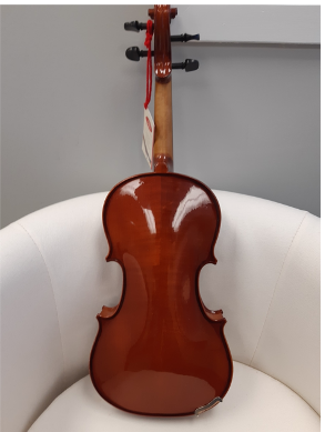 Conservatoire II Violin Outfit - Imperfect