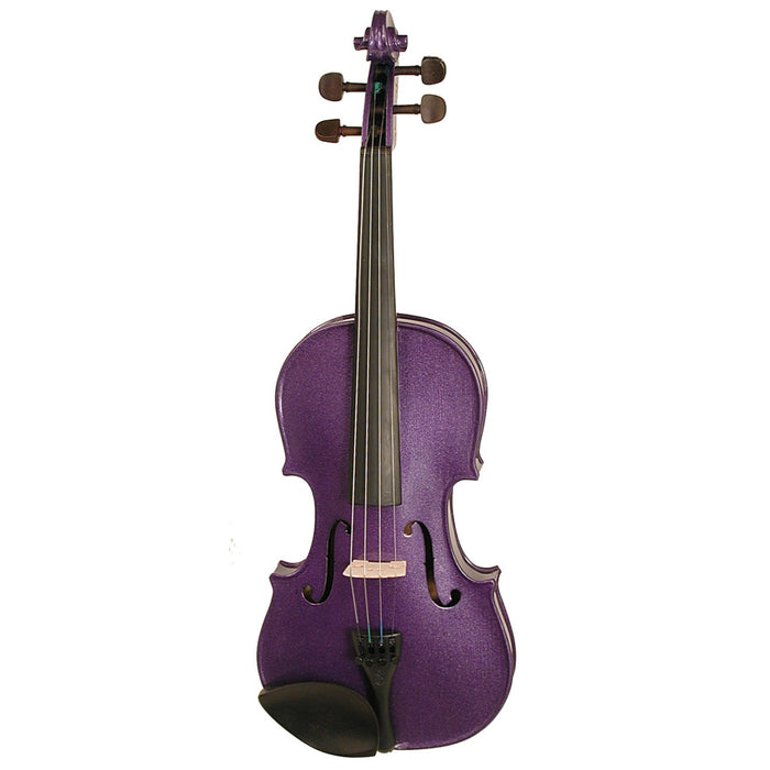 Harlequin Coloured Violin Outfit